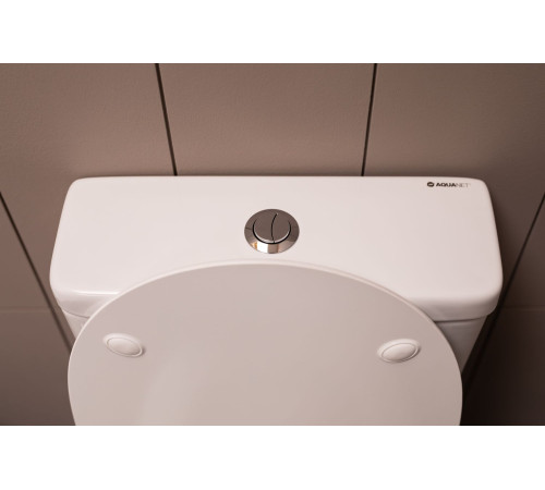 Чаша напольного унитаза Aquanet Rimless Cetus-C1 BL-102N-TPT