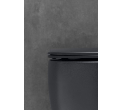 Чаша подвесного унитаза Allen Brau Fantasy 4.11004.31 черный матовый