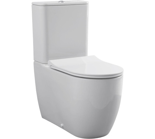 Чаша напольного унитаза Allen Brau Priority 4.31003.20 белый