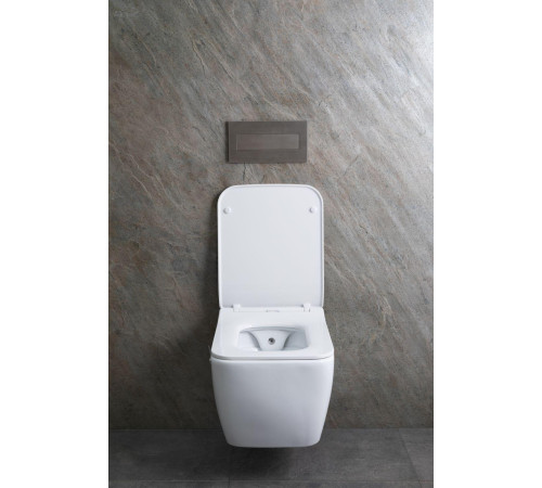 Чаша подвесного унитаза Allen Brau Liberty 4.33009.20 белый