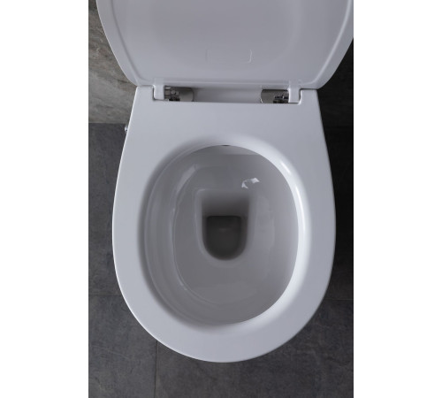 Чаша подвесного унитаза Allen Brau Fantasy 4.11HC1.20 белый глянец