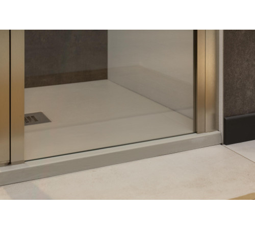 Душевая дверь Allen Brau Priority 120 3.31032.BA серебро браш