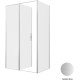 Душевой уголок Allen Brau Priority 120x80 3.31032.BA + 3.31041.BA серебро браш