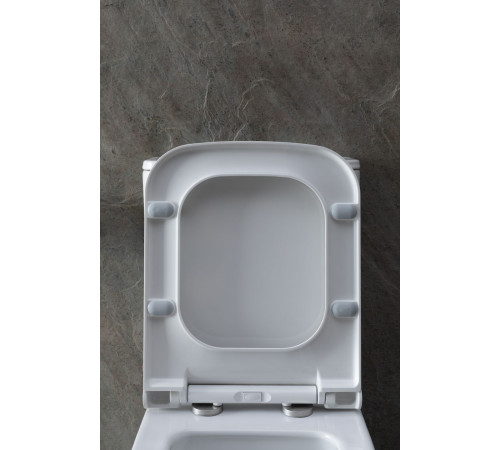 Чаша напольного унитаза Allen Brau Infinity 4.21012.20 белый глянец