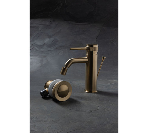 Смеситель для биде Allen Brau Priority 5.31A04-GB (с донным клапаном) золото