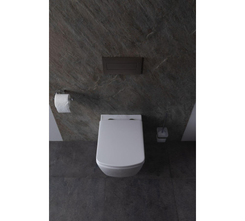 Крышка-сиденье для унитаза Allen Brau Liberty 4.33006.20 белый глянец