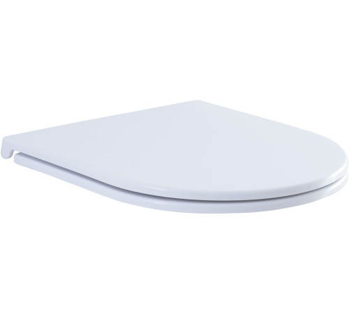 Сиденье для унитаза Aquanet Lake белый