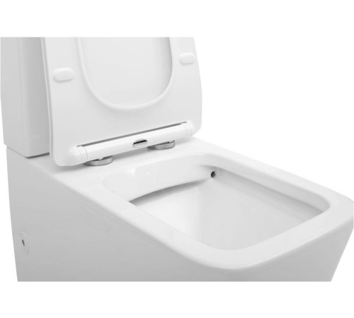 Чаша напольного унитаза Aquanet Rimless Tavr-C1 BL-103N-TPT