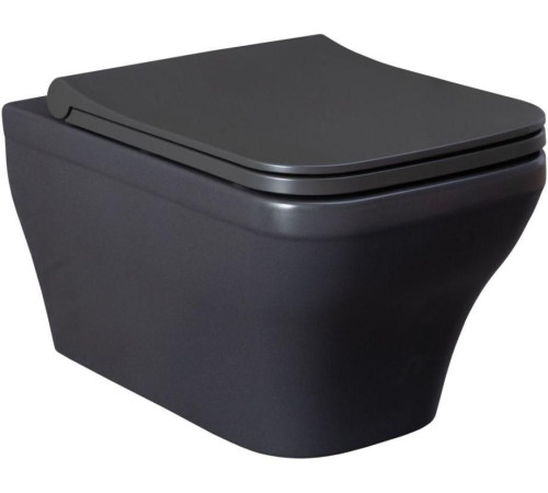 Чаша подвесного унитаза Allen Brau Infinity 4.21011.AN антрацит