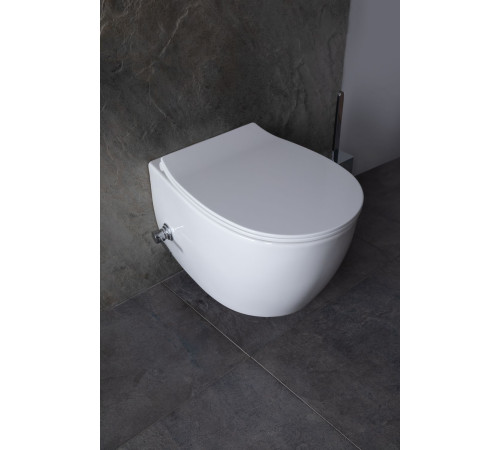 Чаша подвесного унитаза Allen Brau Fantasy 4.11HC1.20 белый глянец