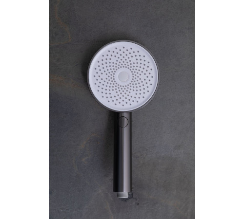 Душевая лейка Allen Brau Priority 5.31B20-MG графит браш