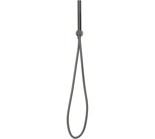 Душевой гарнитур Allen Brau Priority 5.31019-MG графит браш
