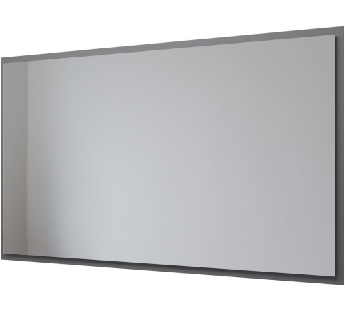 Зеркало Allen Brau Activity 120 1.340030.PGM платина матовый