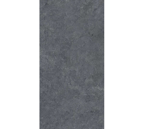 Керамогранит Роверелла DL501320R Темно-серый матовый 60х119.5