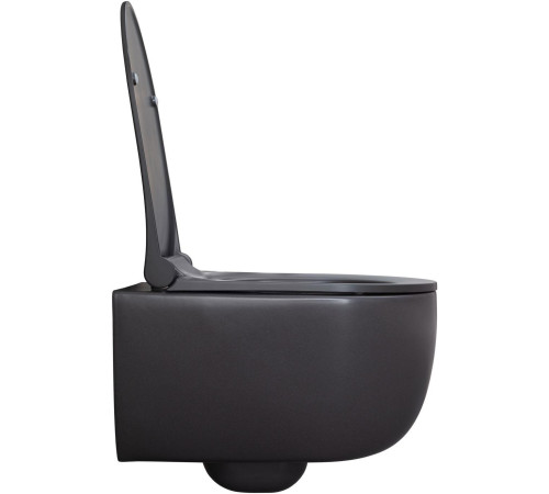 Чаша подвесного унитаза Allen Brau Priority 4.31002.AN антрацит