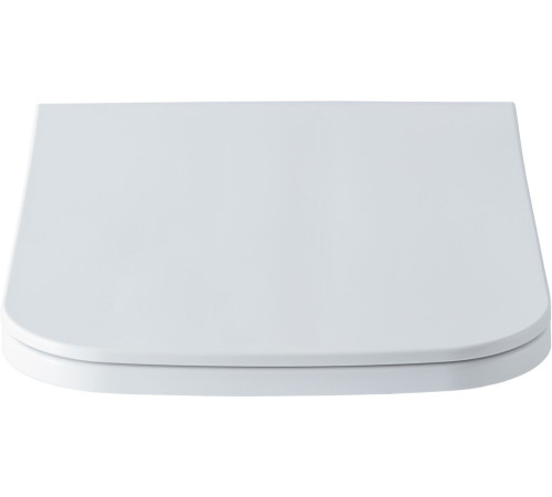 Крышка-сиденье для унитаза Allen Brau Infinity 4.21013.20 белый глянец