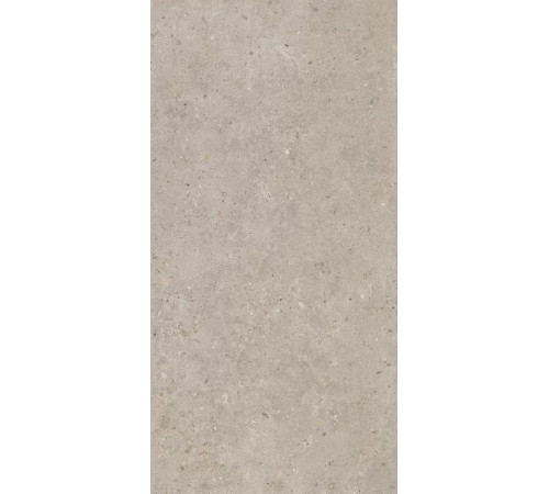Керамогранит Риккарди SG540620R Бежевый матовый 60х119.5
