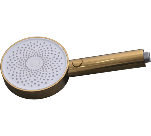 Душевая лейка Allen Brau Priority 5.31B20-GB золото