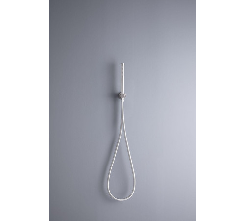 Душевой гарнитур Allen Brau Priority 5.31019-BN никель браш