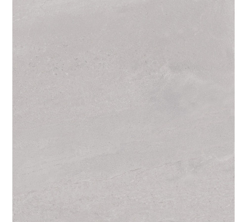 Керамогранит Про Матрикс DD602020R Светло-серый матовый 60х60