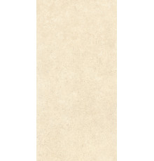 Керамогранит 60х120 SandStone Песочный матовый R10A