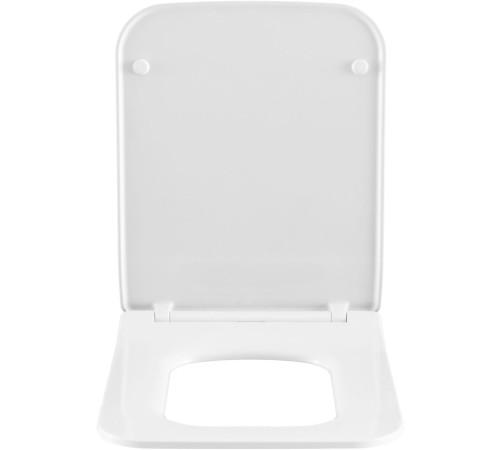 Сиденье для унитаза Allen Brau Liberty 4.33008.21 белый матовый