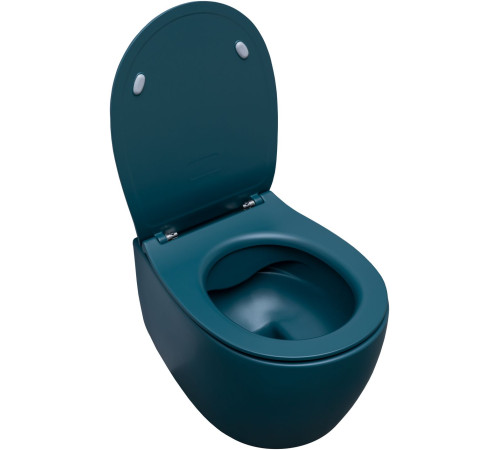 Чаша подвесного унитаза Allen Brau Fantasy 4.11004.PT петроль