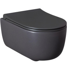 Чаша подвесного унитаза Allen Brau Priority 4.31002.AN антрацит