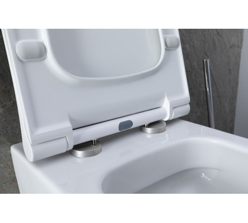 Унитаз с инсталляцией Allen Brau Priority 00301296/8.9466.0.000.000.1 белый глянец