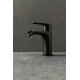 Смеситель для биде Allen Brau Eclipse 2.0 5.E1A10-31 черный матовый