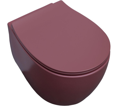 Чаша подвесного унитаза Allen Brau Fantasy 4.11004.BD бордо