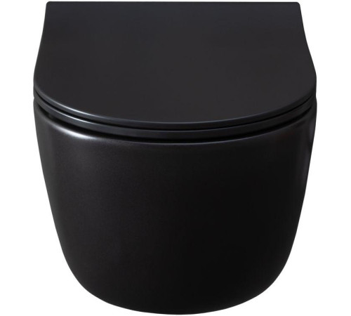 Чаша подвесного унитаза Allen Brau Priority 4.31002.31 черный матовый