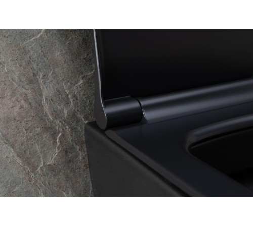 Чаша подвесного унитаза Allen Brau Priority 4.31002.31 черный матовый