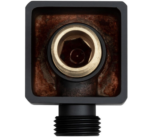 Шланговое подключение Allen Brau Infinity 5.21A17-31 черный матовый