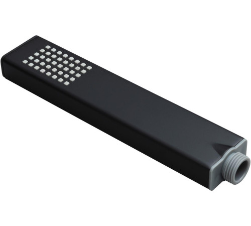 Душевая лейка Allen Brau Infinity 5.21022-31 черный матовый