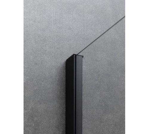 Душевой уголок Allen Brau Priority 140x90 3.31036.BBA + 3.31045.BBA черный браш