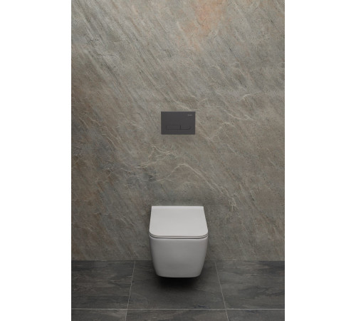 Клавиша смыва Allen Brau Project Color 9.2PR01.AN антрацит