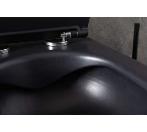 Чаша подвесного унитаза Allen Brau Reality 4.32006.31 черный матовый