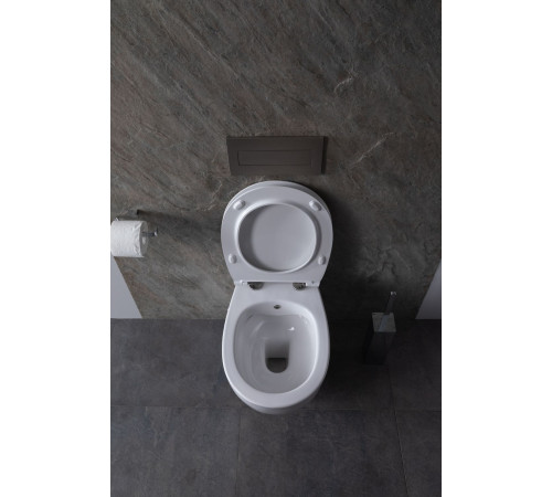 Чаша подвесного унитаза Allen Brau Fantasy 4.11HC1.20 белый глянец