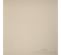 Керамогранит GT100М База матовый 60х60