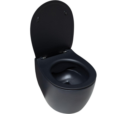 Чаша подвесного унитаза Allen Brau Fantasy 4.11004.31 черный матовый