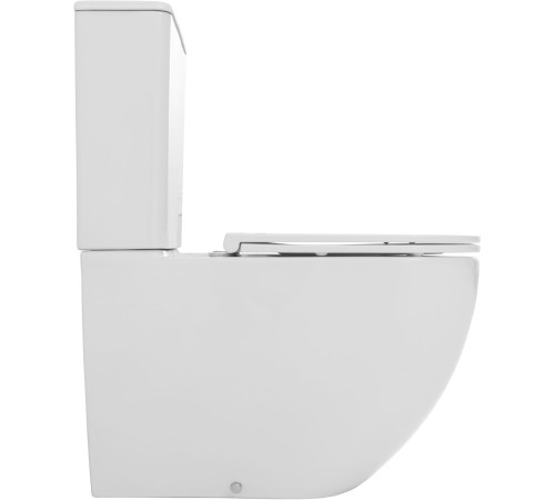 Чаша напольного унитаза Allen Brau Priority Tornado 4.31006.20 белый глянец