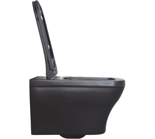 Чаша подвесного унитаза Allen Brau Infinity 4.21011.31 черный матовый