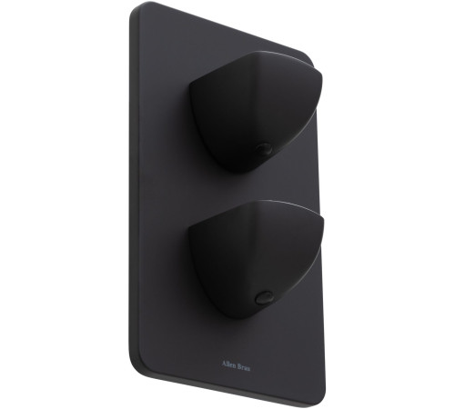 Смеситель для душа Allen Brau Infinity 5.21116-31 (с внутренней частью, 1 выход) черный матовый