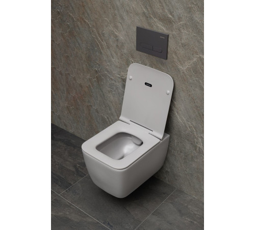 Клавиша смыва Allen Brau Project Color 9.2PR01.AN антрацит