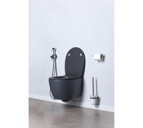 Чаша подвесного унитаза Allen Brau Fantasy 4.11004.AN антрацит