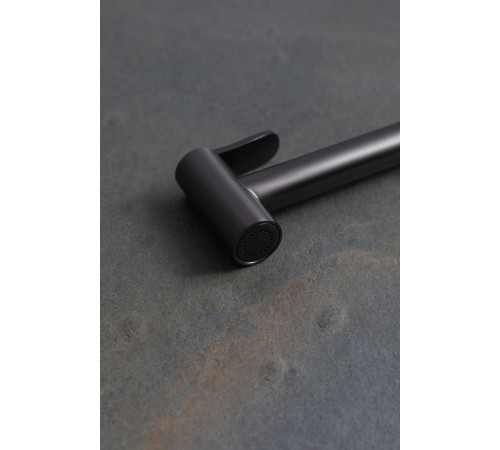 Гигиеническая лейка Allen Brau Priority 5.31028-MG графит браш