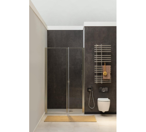 Душевая дверь Allen Brau Priority 90 3.31002.BA серебро браш