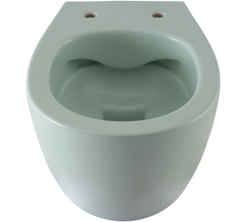 Чаша подвесного унитаза Allen Brau Fantasy 4.11004.MT мятный