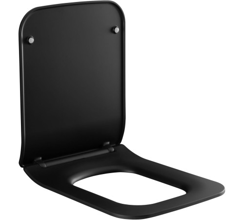 Сиденье для унитаза Allen Brau Liberty 4.33008.31 черный матовый